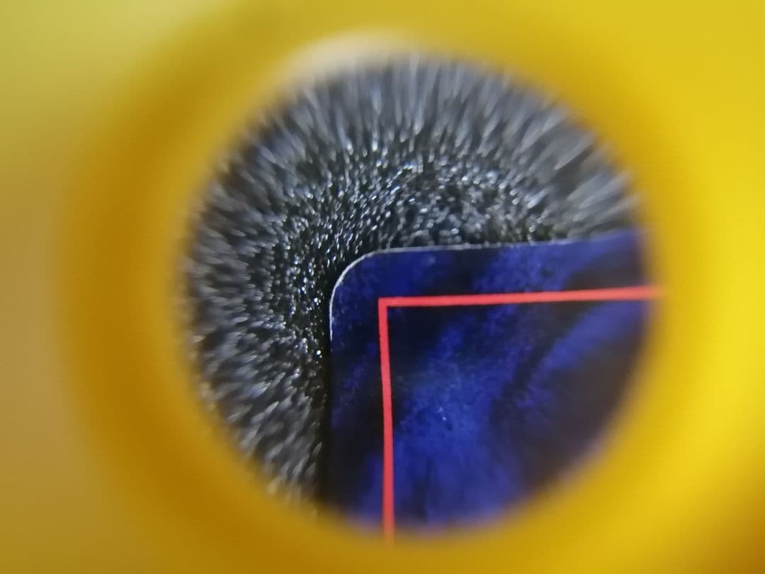 ポケモンカード 旧裏カメール LV22 HP70 マーク無し