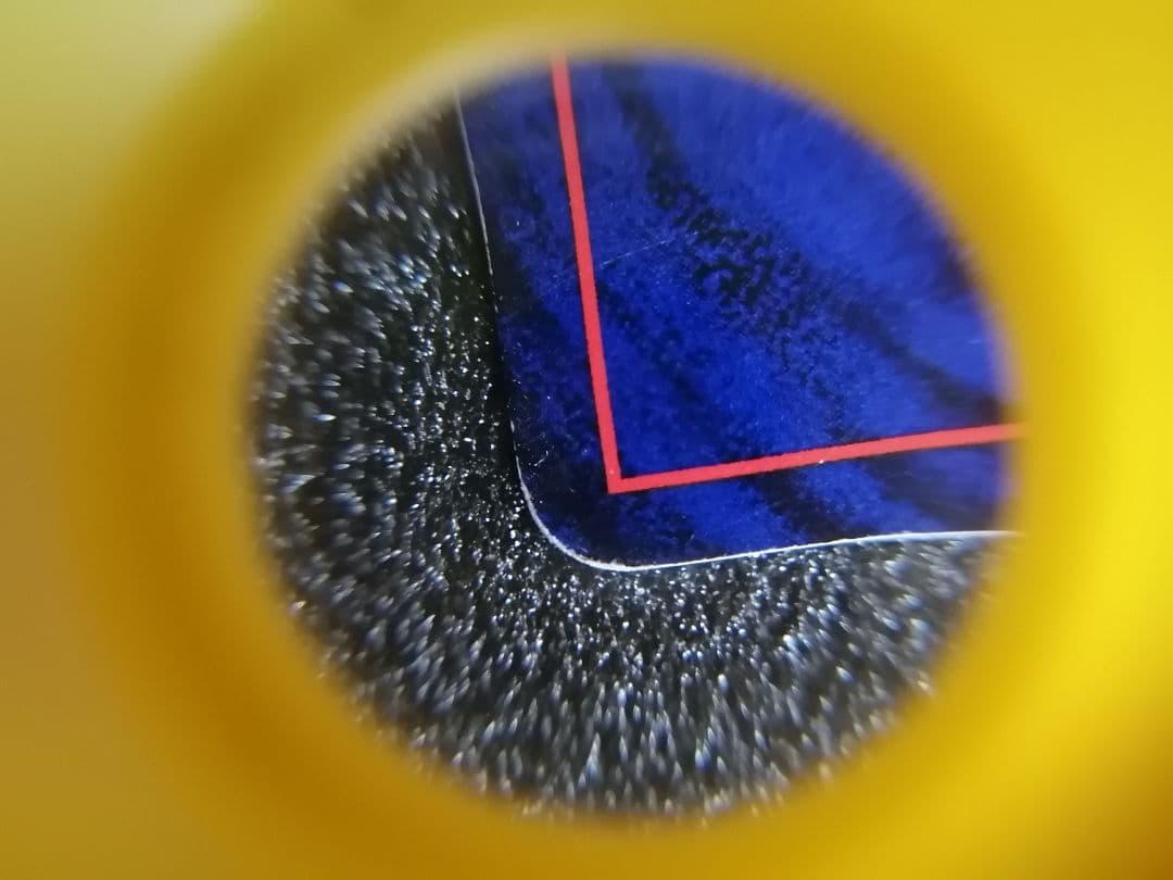 ポケモンカード 旧裏カメール LV22 HP70 マーク無し