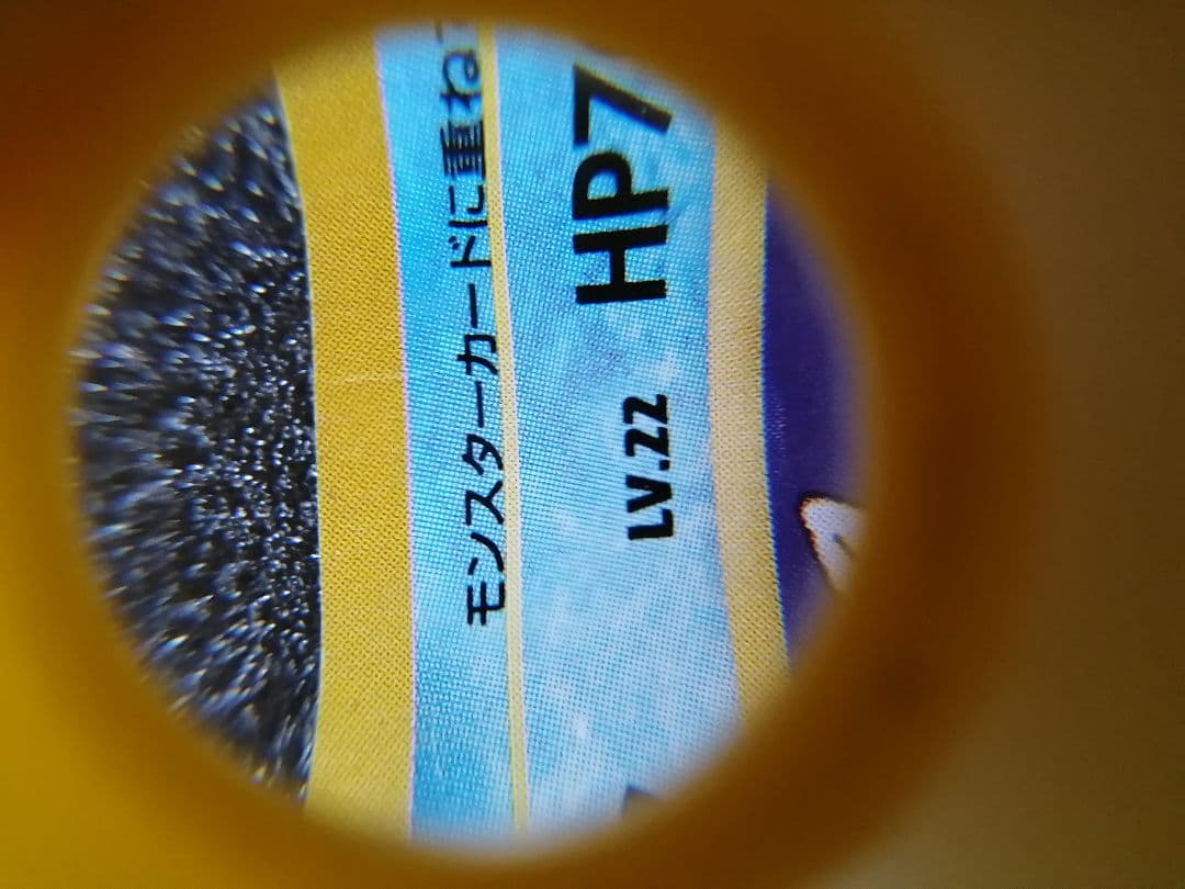 ポケモンカード 旧裏カメール LV22 HP70 マーク無し