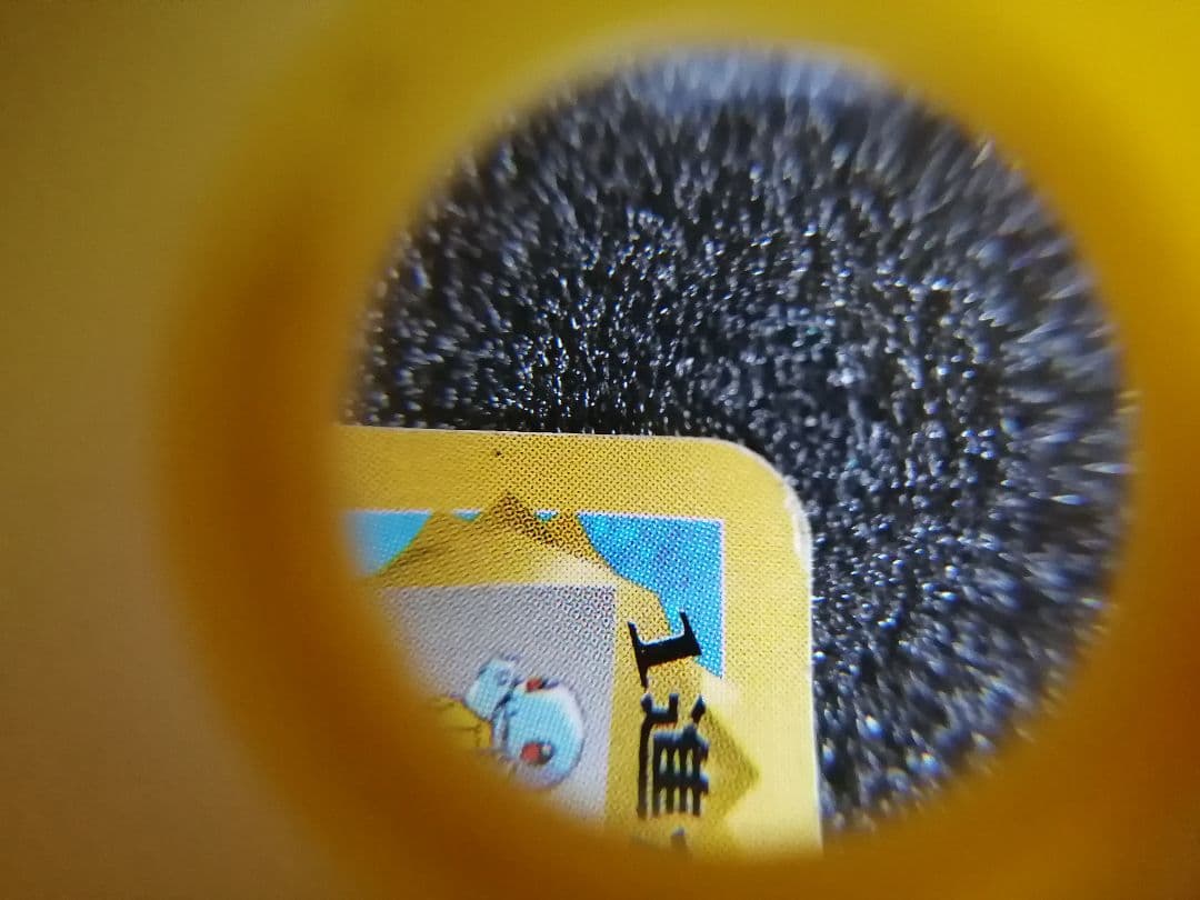 ポケモンカード 旧裏カメール LV22 HP70 マーク無し