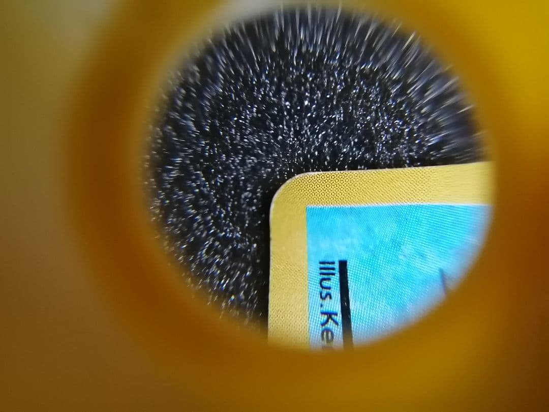 ポケモンカード 旧裏カメール LV22 HP70 マーク無し