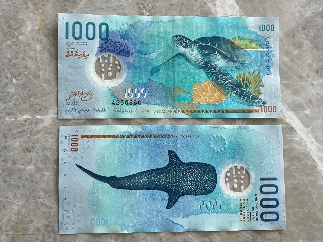 【.】モルディブ 1000ルフィア（MVR）紙幣（海亀・ジンベイザメ）