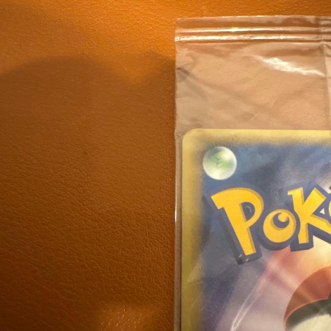 ポケモンカード ポケパーク レックウザ　041/PCG-P 未開封　プロモ