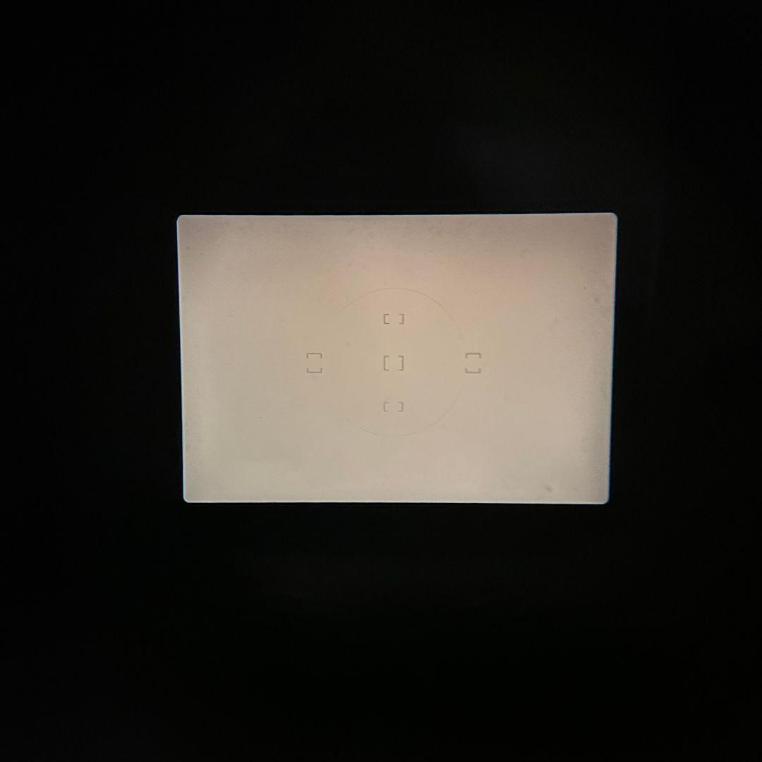 ⭐良品⭐ニコン NIKON F100 ボディ