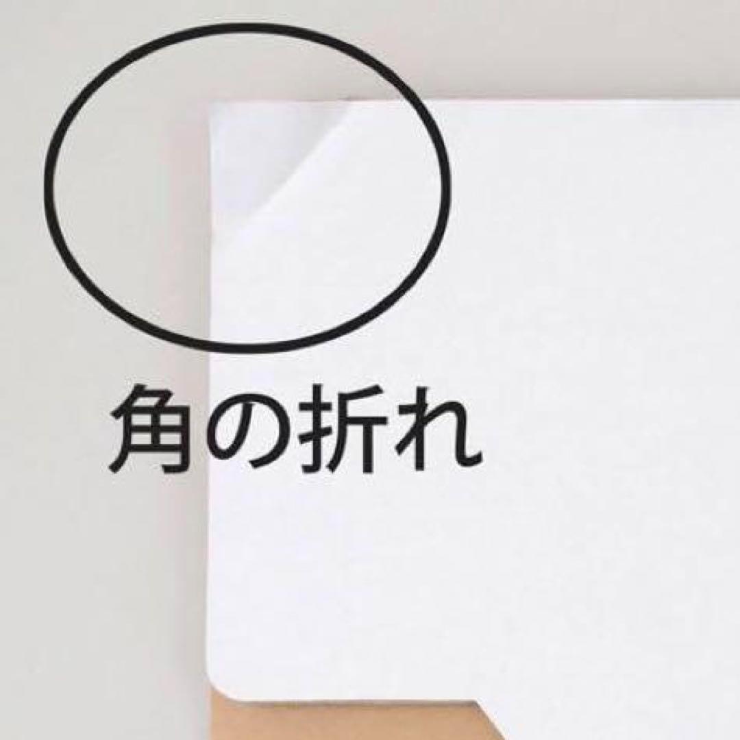 10セット計20個 45299物が置けるダンボールゴミ箱45L（2個）