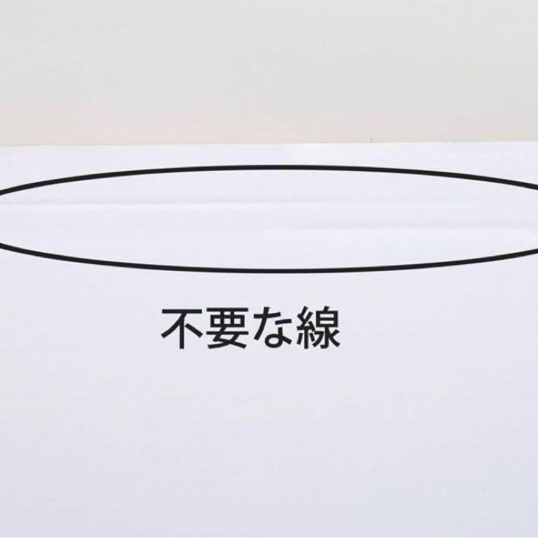 10セット計20個 45299物が置けるダンボールゴミ箱45L（2個）