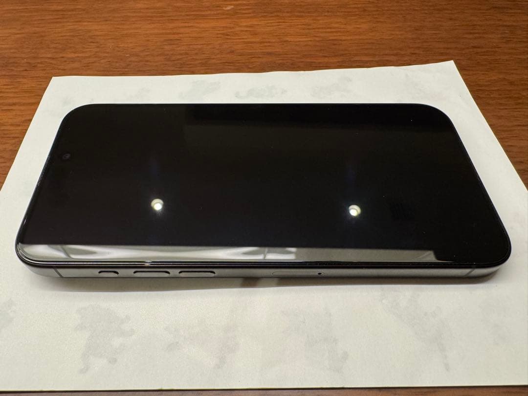 Apple iPhone 15 Pro Max 香港 物理SIM 2枚