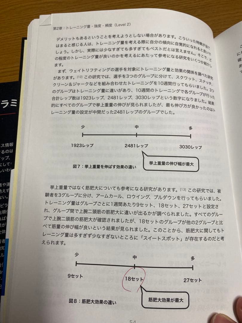 肉体改造のピラミッド 栄養編・トレーニング編セット