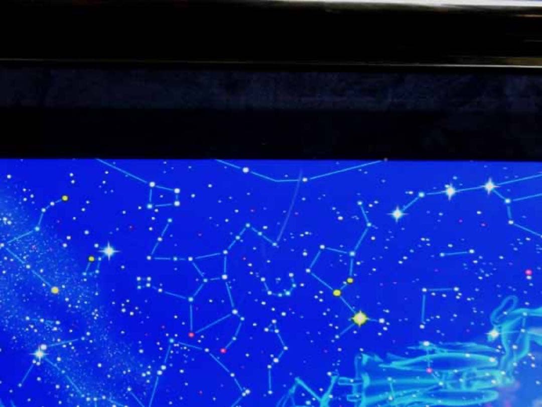 エリちゃん　クリスチャン・リース・ラッセン「ゾディアック(S)