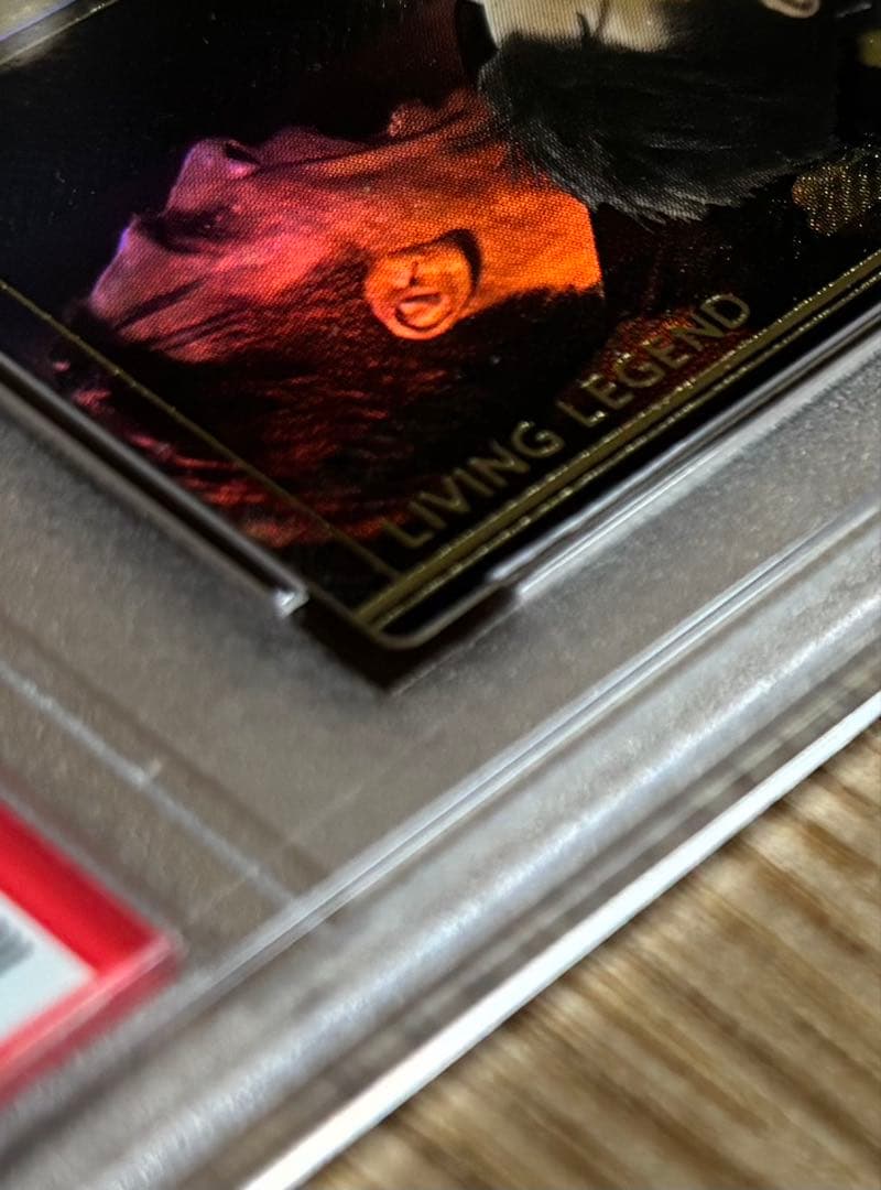 PSA9 ブッフォン BUFFON PFL パニーニフットボールリーグ