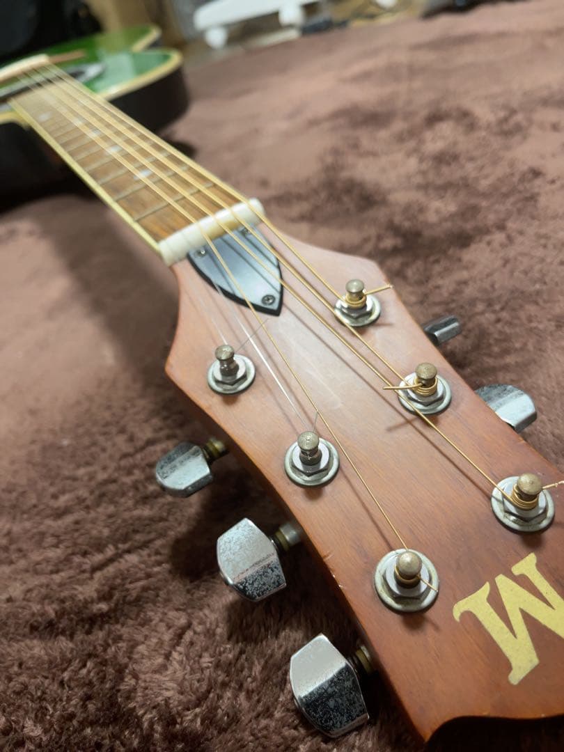 Monsty エレアコ ステージ映えするグリーンのトップ！