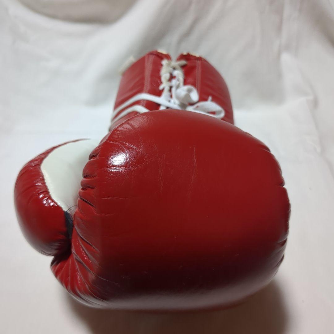 レイジェス　ボクシンググローブ　赤　10oz　プロファイト用　中古品