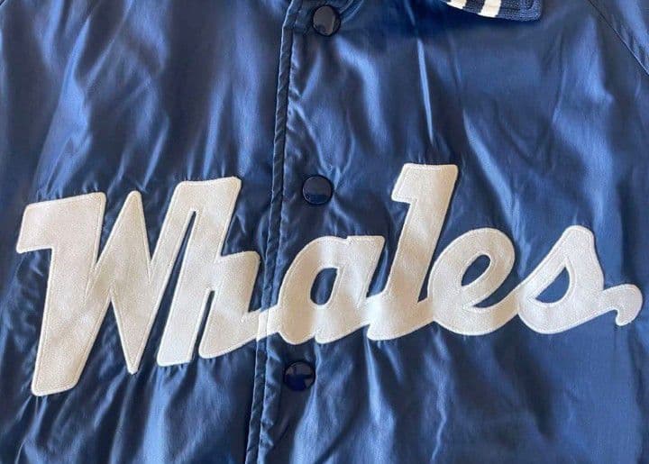 【希少】大洋ホエールズ　スタジアムジャンパー　ブルゾン