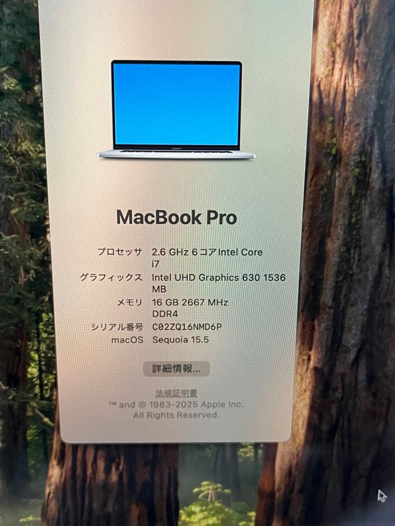【美品】箱有 MacBook Pro 16インチ 2019 16GB 512GB