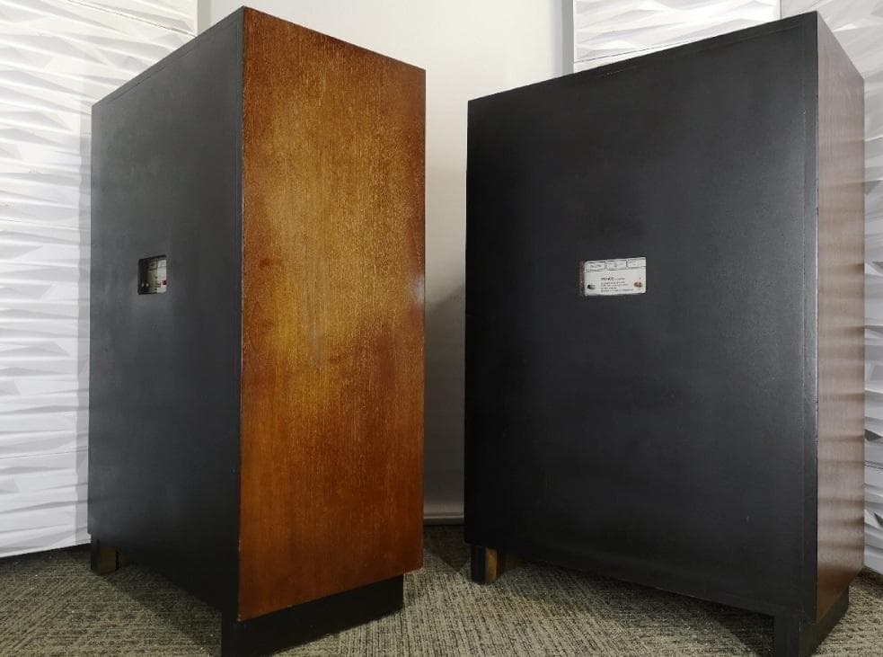 えだひこ TANNOY ARDENエッジ新品 ペア1台目（１本のみ）