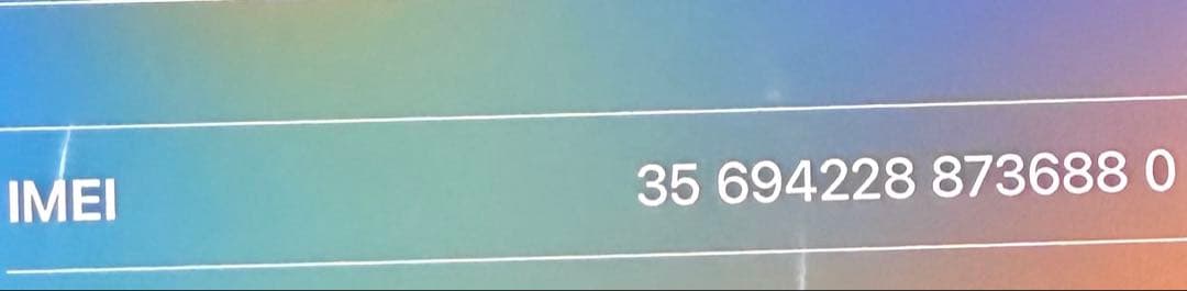 Apple iPhone 13 Pro ブルー 本体