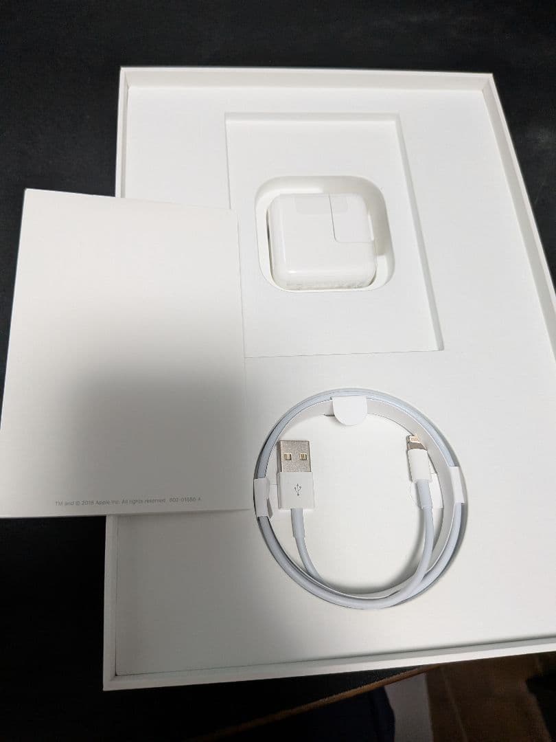 iPad(第6世代)128GB Wi-Fiおまけ付き