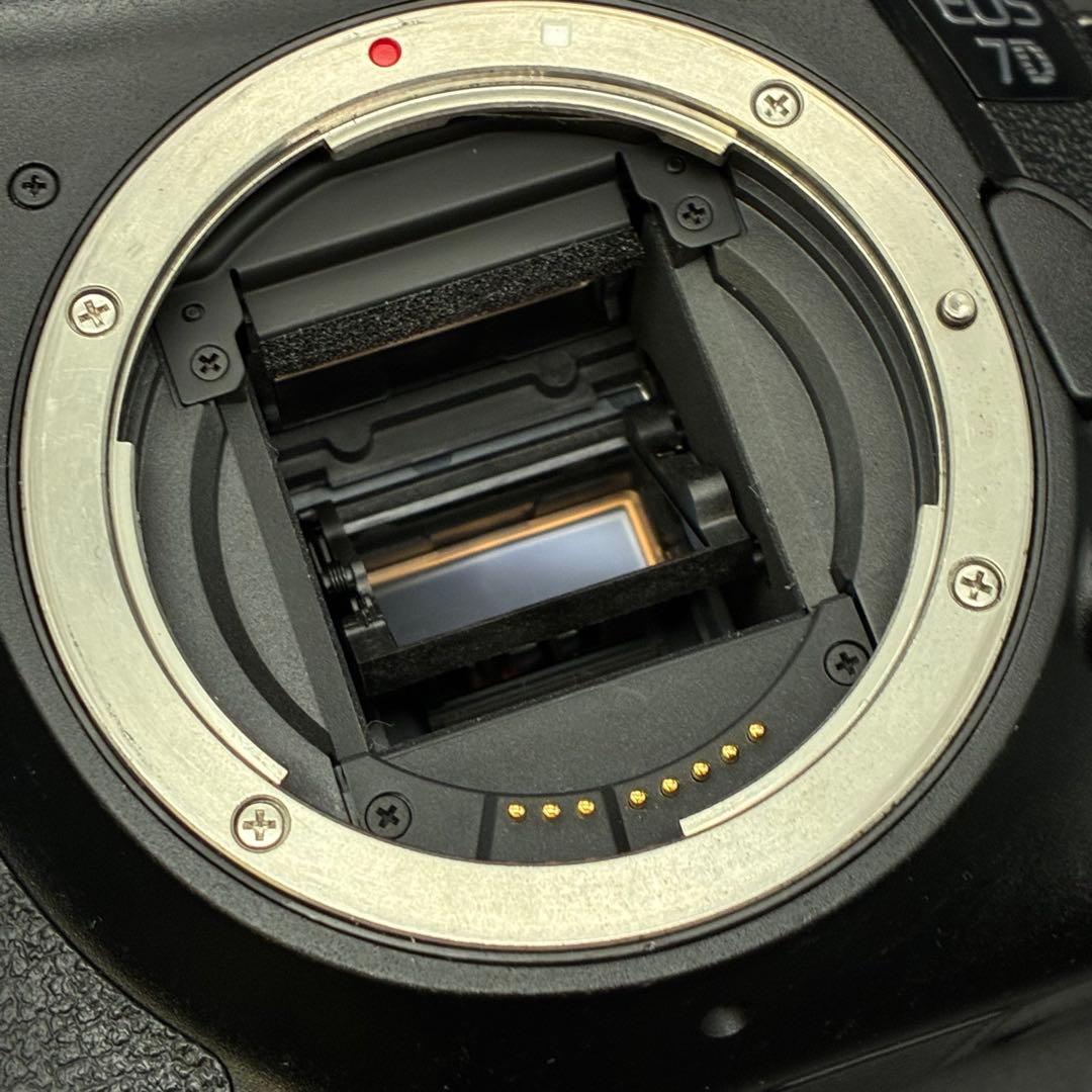 【動作OK】Canon EOS 7D デジタル一眼レフカメラ DS126251