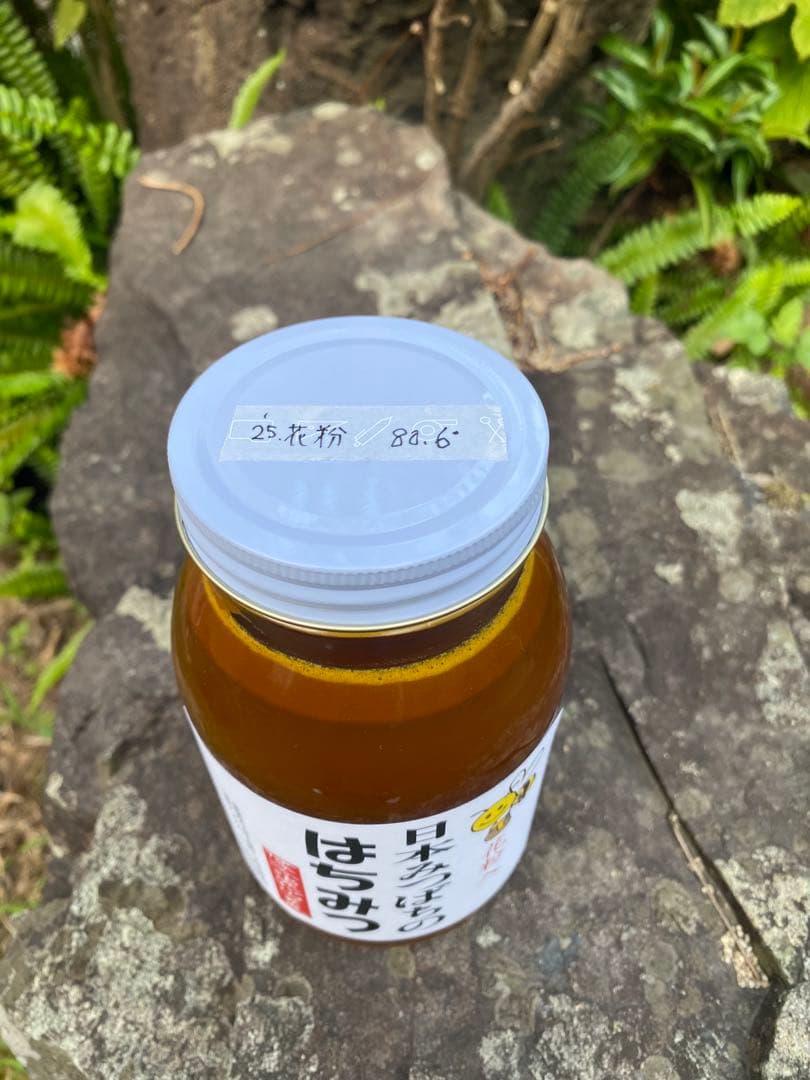はちみつ　日本蜜蜂のハチミツ　花粉入り蜂蜜
