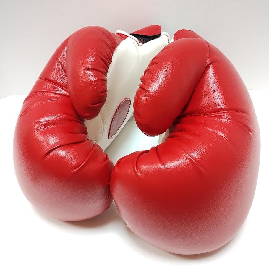 Winning ウイニング ボクシング グローブミット CM-30 別注品
