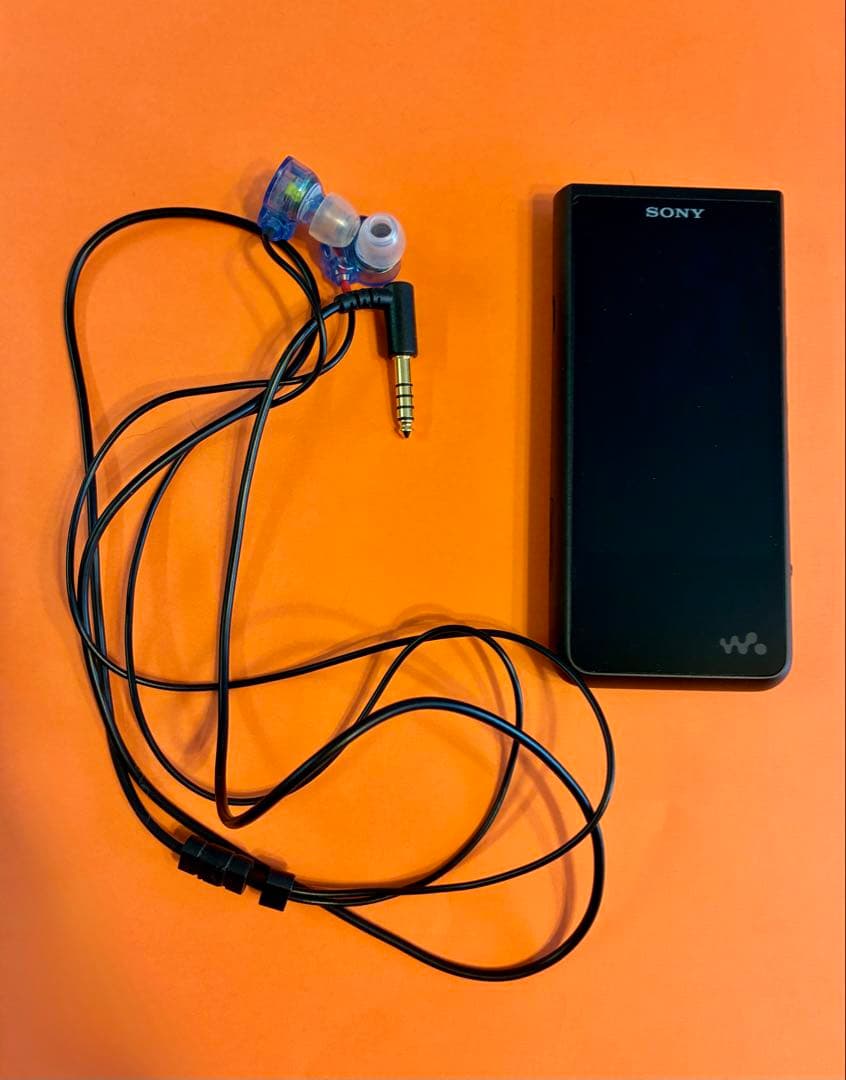 SONY ウォークマン NW-ZX507イヤホンセット【動作確認・初期化済】