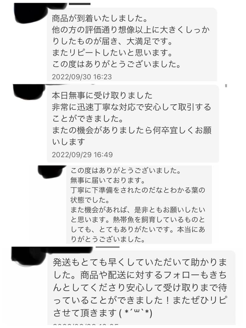 沖縄県やんばる産マジックリーフ 1kg UV殺菌灯照射済み④