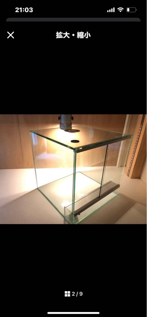 ★ガラスケージ★パルダリウム水槽30×30×30 ヤドクガエル・ビバリウム