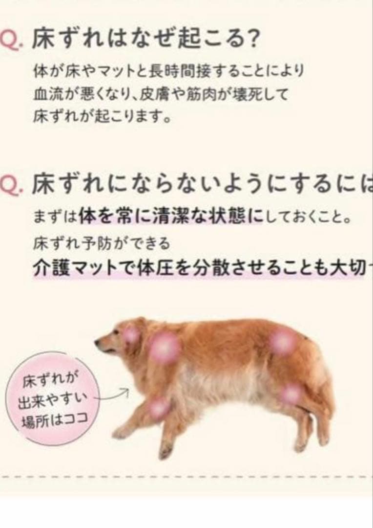 エクスジェルマット スムースＭ 床ずれ対策 介護用 ペット用 (カバー付き)