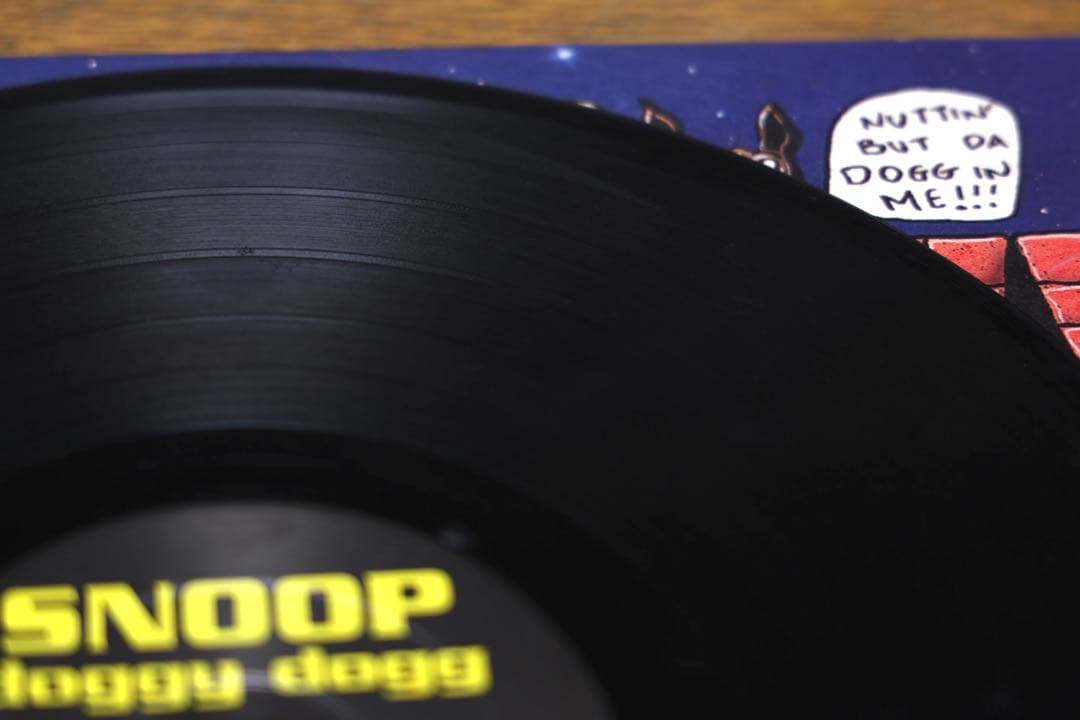 神龍 スヌープドギードッグ : Doggystyle 12” LPレコード
