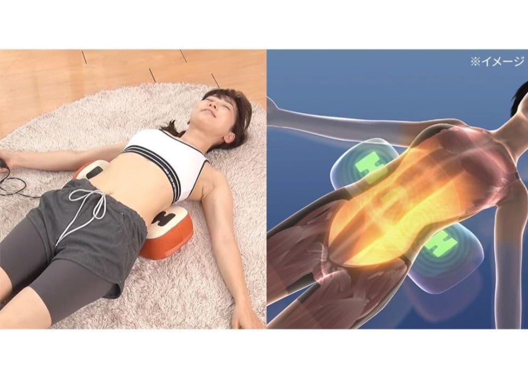 extxux　ディノススタイリークッション