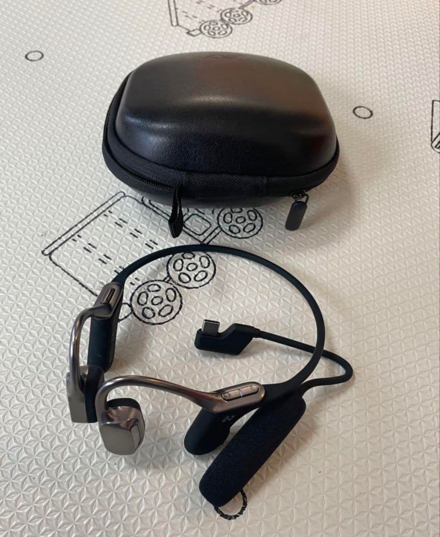 AVIOIT WB-E1M-BK 骨伝導イヤホン メタリックブラック