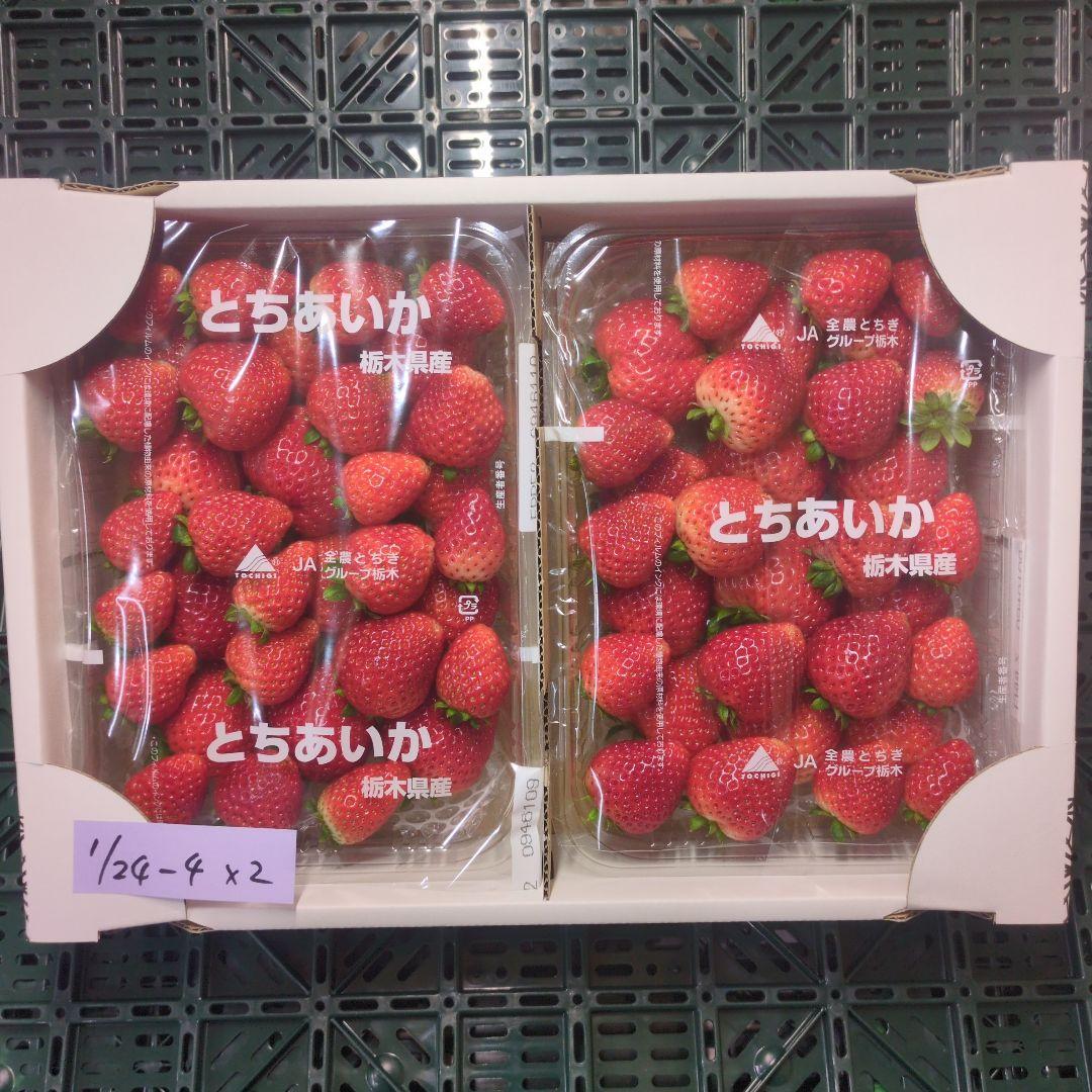 栃木県産いちご　とちあいか　規格外約1.4kgx4箱　1/24-2.4