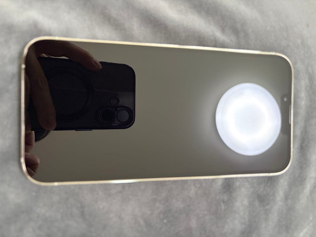 Apple iPhone 13 Pro Max 256GB デュアル　海外版