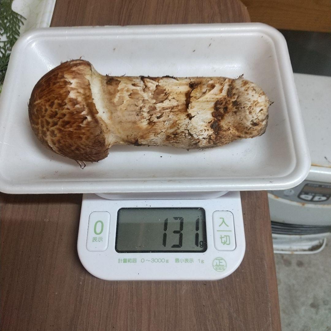 岩手県産 松茸 6-1