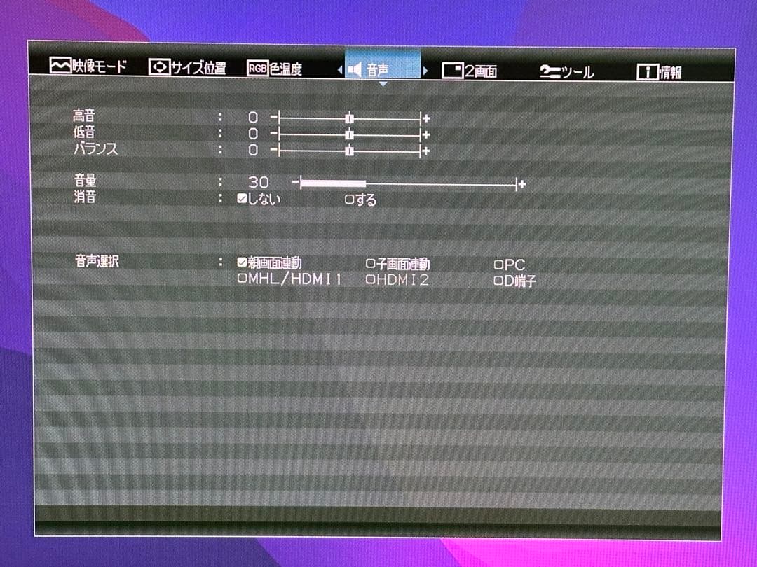I-O DATA GigaCrysta LCD-RDT241XPB モニター