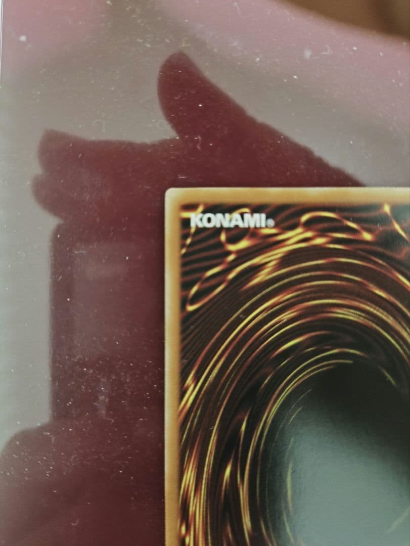 遊戯王RD　コスモス姫のお戯れ(ORR)