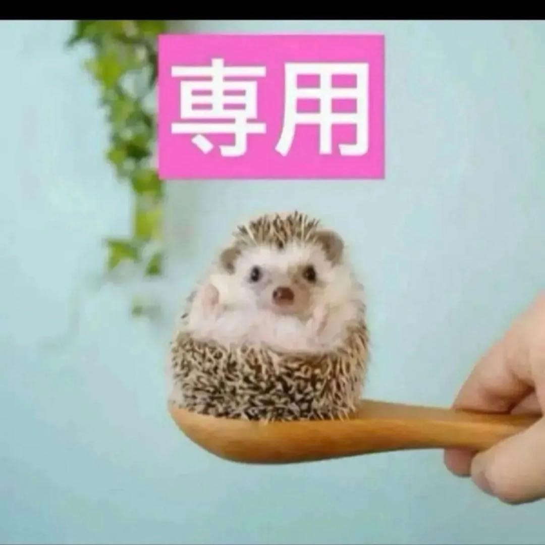 2点、コンシーラー1N 、スノーセラム