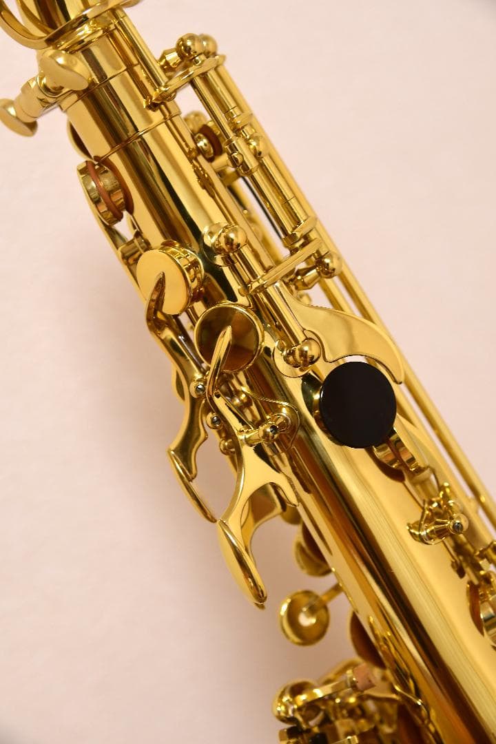 【新品・未使用品】Buffet Crampon アルトサックス Prodige