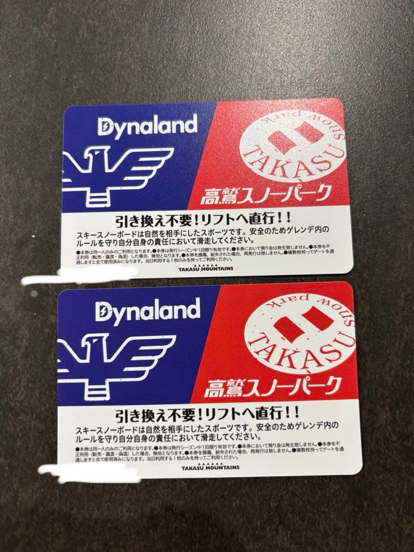 高鷲スノーパーク&ダイナランド　1日リフト券