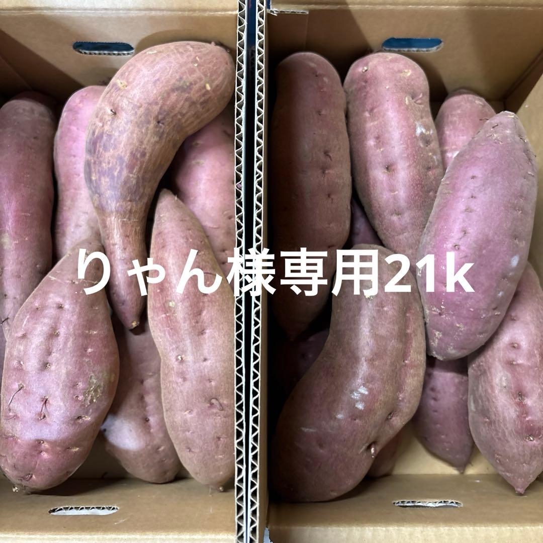 さつまいも専用