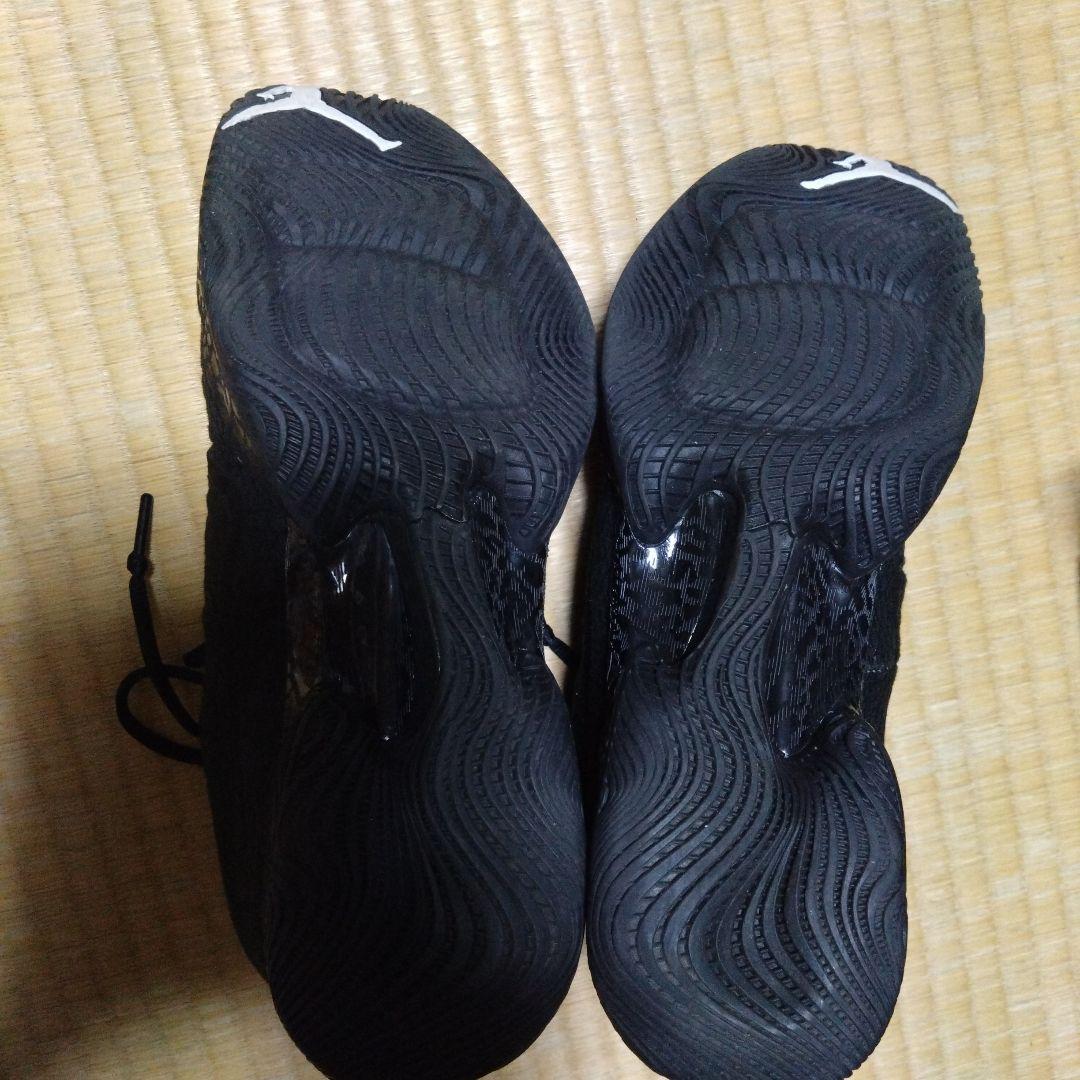 エアジョーダン 29