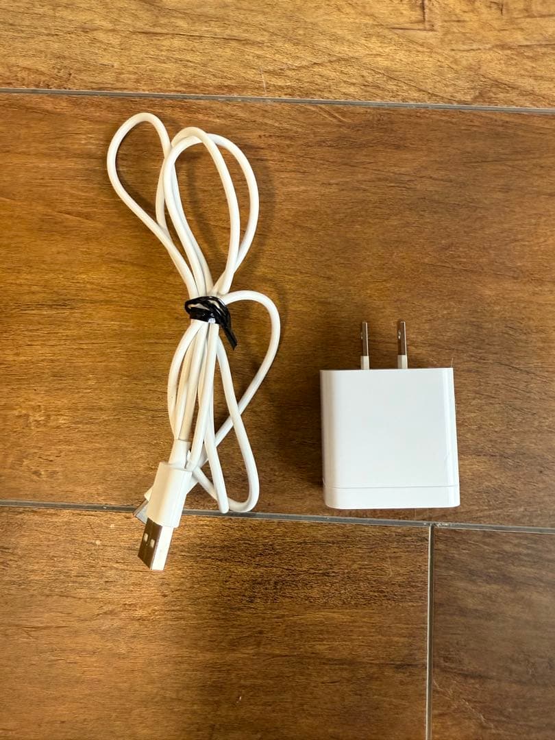 【美品】 イオン美顔器 イオンブースト マルチ EX EH-SS85-W