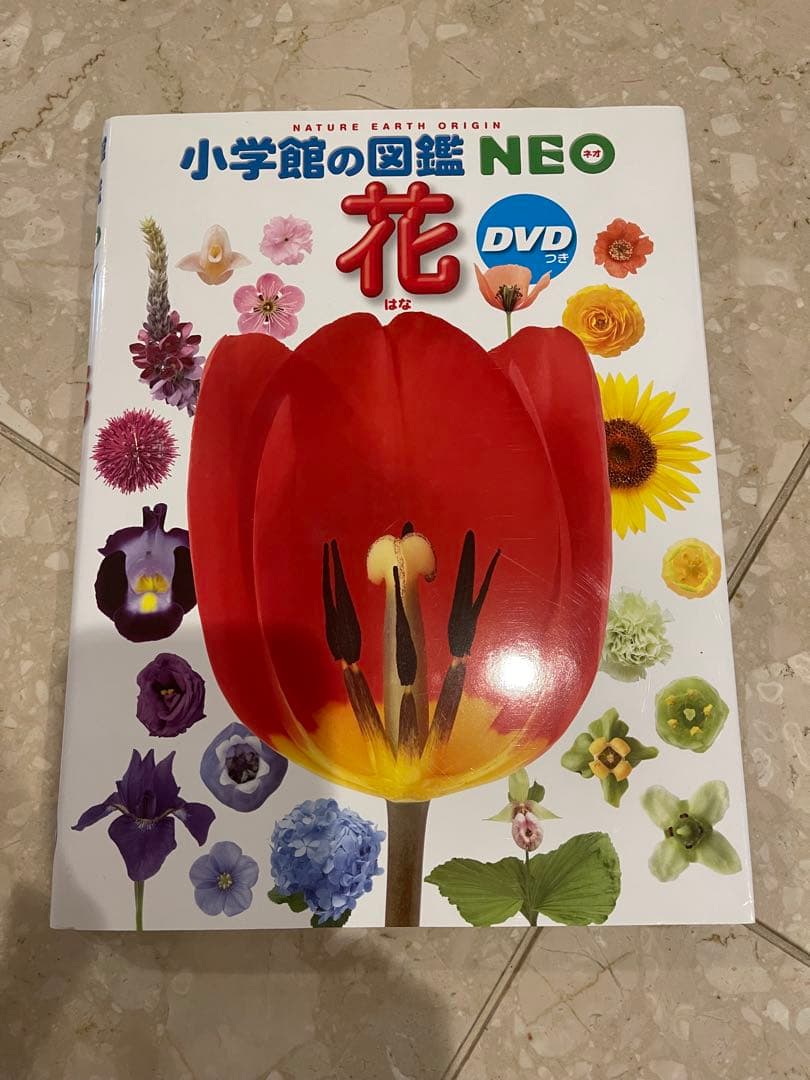 のり❤️美品でお得❤️小学館の図鑑NEO8冊セット