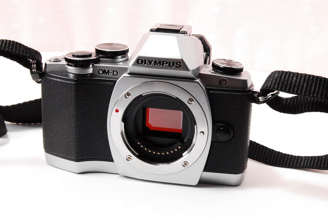 〓バッテリーパック3個〓オリンパス E-M10 ボディ ミラーレス一眼レフカメラ