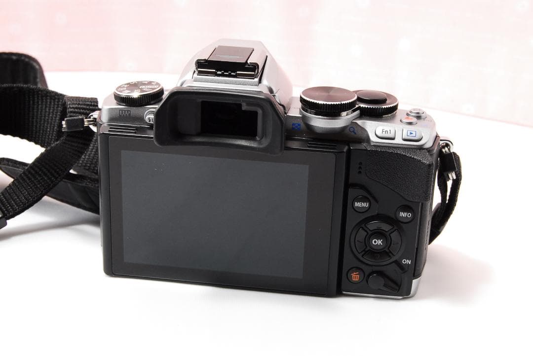 〓バッテリーパック3個〓オリンパス E-M10 ボディ ミラーレス一眼レフカメラ