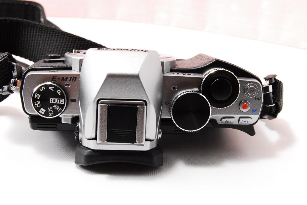 〓バッテリーパック3個〓オリンパス E-M10 ボディ ミラーレス一眼レフカメラ