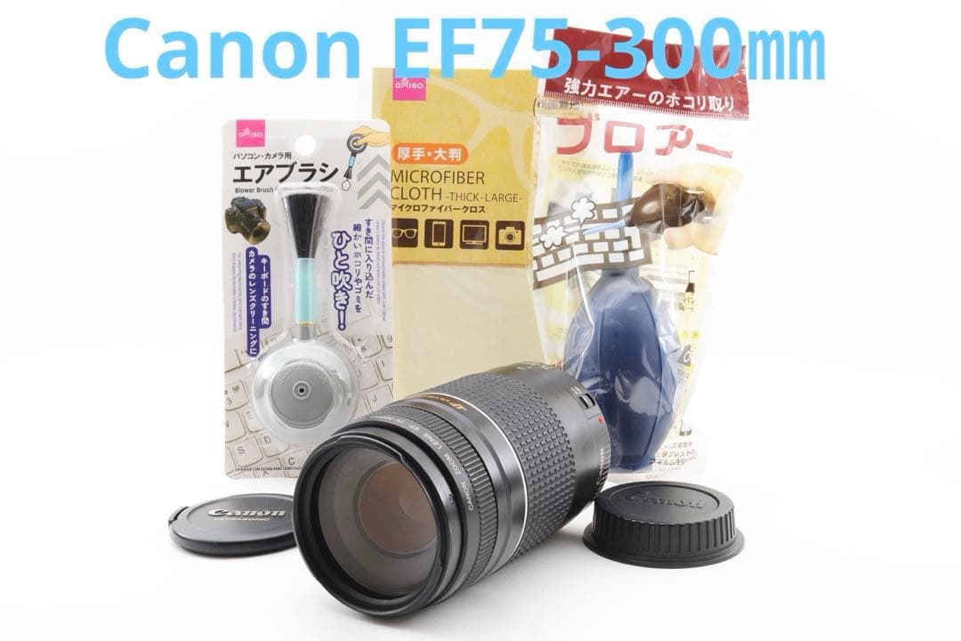 望遠レンズ/デジタル一眼レフカメラ/Canon EF75-300㎜