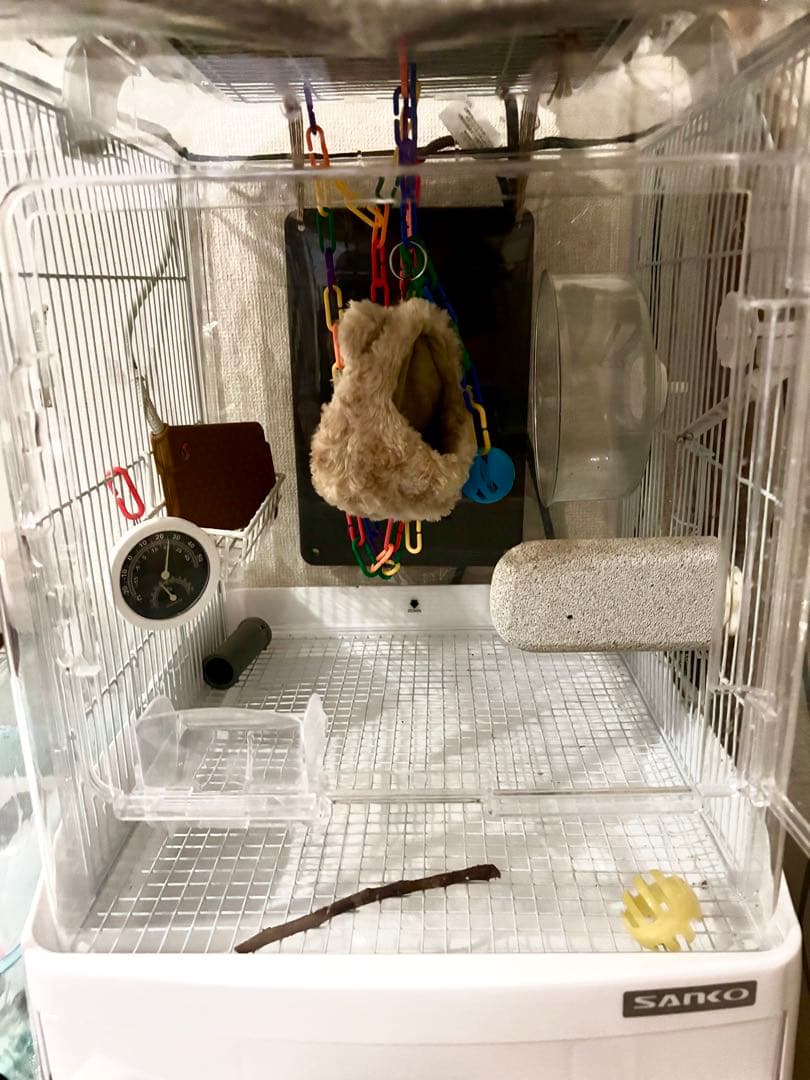 SANKO プラスチックケージ ハンモック付き