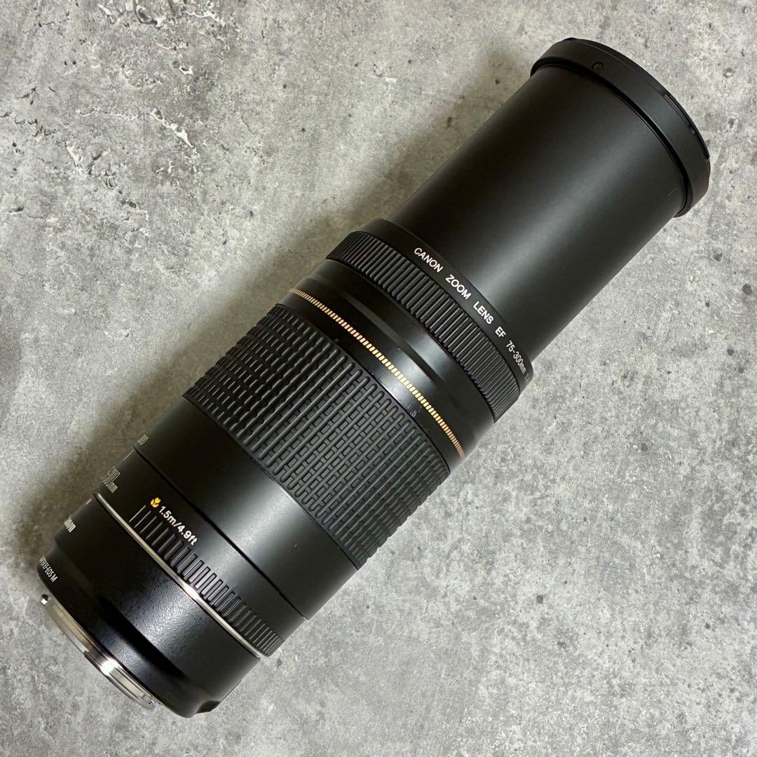 ⭐️美品⭐️Canon EFS 75-300 II & EF-EOS M アダプター