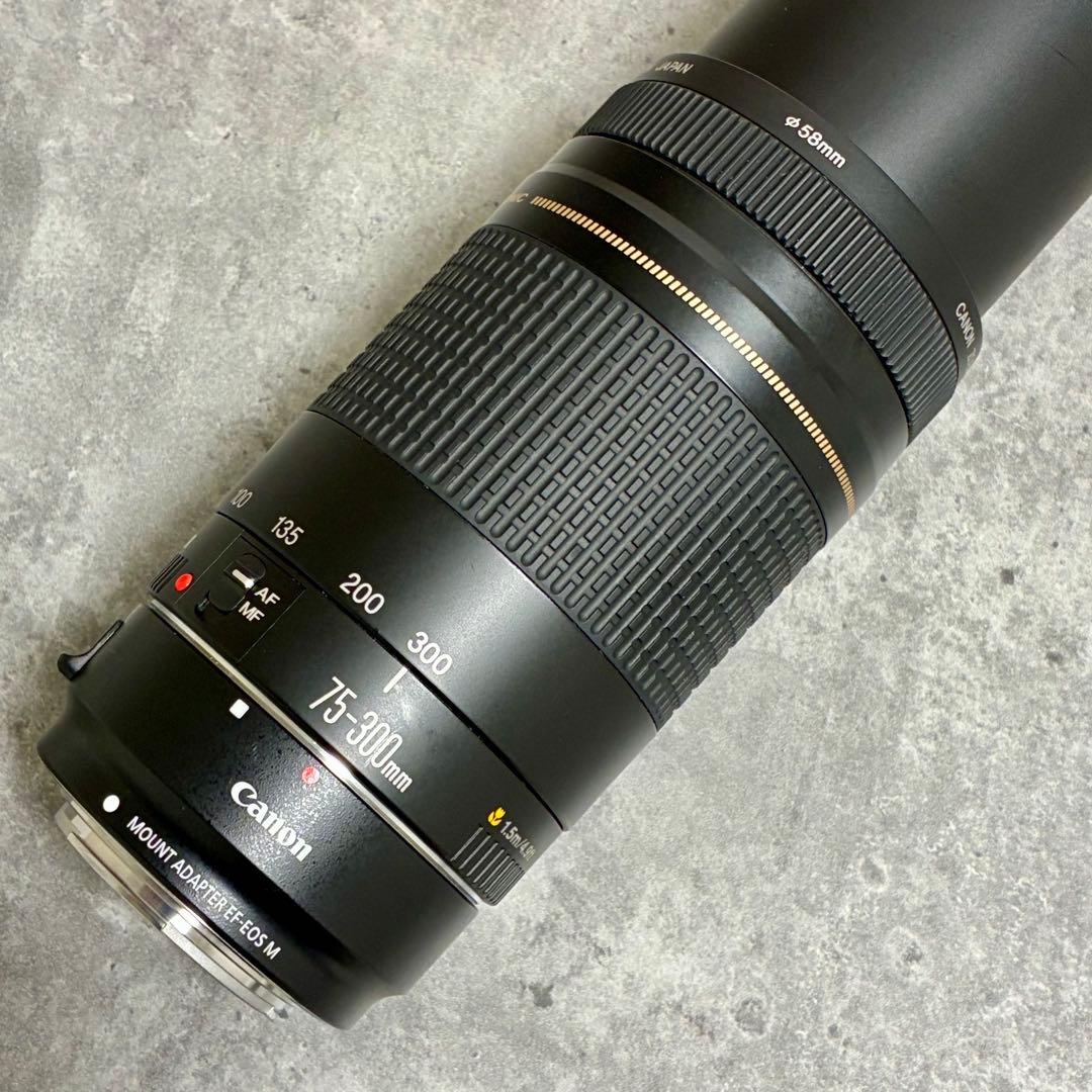 ⭐️美品⭐️Canon EFS 75-300 II & EF-EOS M アダプター